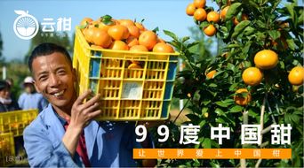 构建品牌解千愁 农产品如何打造爆款的实战策略