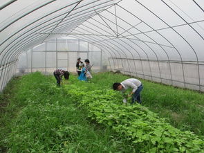 德清县迎接省农业厅农产品质量安全监督抽查 筑牢食品安全防线