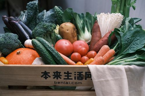 本来生活荣膺广州市本地农产品稳产保供重点生产企业，筑牢民生供应安全防线