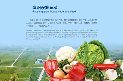 5·18廊坊经洽会 聚焦河北特色农产品，赋能乡村振兴新图景