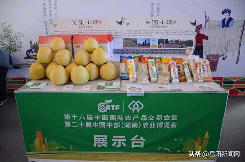 岳阳市特色小镇农产品惊艳农博会，谱写乡村振兴新篇章