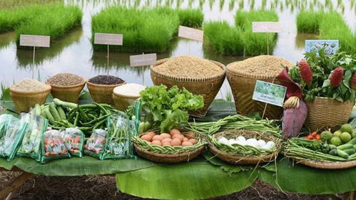 农产品为何需要注册商标？这篇文章为你全面解析