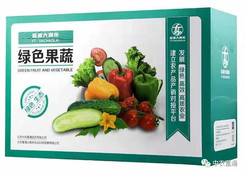 构建乡村产业体系 推动农产品产业振兴的关键路径