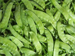 道滘镇蔬菜配送商及农产品服务指南