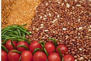 给力行动！五所高校定向采购，助力安徽三十二个贫困地区农产品销售